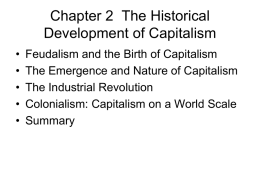 Chapter 2 The Historical Development of Capitalism • • • • •  Feudalism and the Birth of Capitalism The Emergence and Nature of Capitalism The Industrial Revolution Colonialism: Capitalism on.