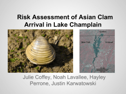 Risk Assessment of Asian Clam Arrival in Lake Champlain  Julie Coffey, Noah Lavallee, Hayley Perrone, Justin Karwatowski.