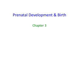 Prenatal Development & Birth Chapter 3 Conception • Strategies – The old fashioned way – In vitro – Surrogate – Artificial insemination  • Following ovulation, fertilization occurs.