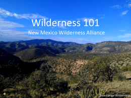 Wilderness 101 New Mexico Wilderness Alliance  Blue Range Wilderness What is Wilderness? • There are many ways to describe wilderness, but here are.