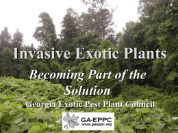 Invasive Exotic Plants Becoming Part of the Solution Georgia Exotic Pest Plant Council.