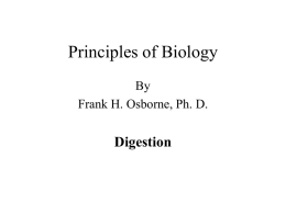 Principles of Biology By Frank H. Osborne, Ph. D.  Digestion Digestion The process of digestion is a chemical reversal of condensation reactions. Condensation reactions were used.
