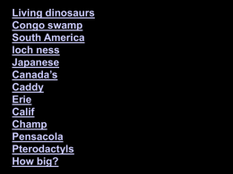 Living dinosaurs Congo swamp South America loch ness Japanese Canada’s Caddy Erie Calif Champ Pensacola Pterodactyls How big? CREATION SCIENCE EVANGELISM Seminar Teil 3 B: Dinosaurier die heute leben Sitzung 6 von 14  Ein Schöpfungsseminar von Dr.