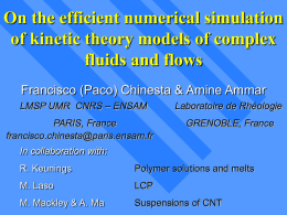 On the efficient numerical simulation of kinetic theory models of complex fluids and flows Francisco (Paco) Chinesta & Amine Ammar LMSP UMR CNRS –