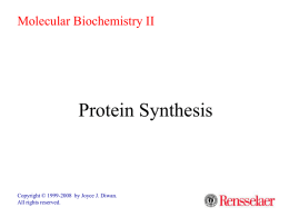 Molecular Biochemistry II  Protein Synthesis  Copyright © 1999-2008 by Joyce J. Diwan. All rights reserved.