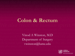 Colon & Rectum Vinod A Winston, M.D Department of Surgery vwinston@lumc.edu Question: Which of the following is/are the most common causes of massive colonic bleeding? A. B. C. D. E.  Cancer Ulcerative.
