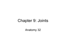 Chapter 9: Joints Anatomy 32 I. Articulations: bones are rigid structures but become moveable at the joint or articulations (Greek- arthro).