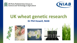 UK wheat genetic research Dr Phil Howell, NIAB A highly complex beast • Wheat is a hexaploid: its 21 chromosome pairs fall.