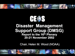 CE S Disaster Management Support Group (DMSG) Report to the 16th Plenary 20-21 November 2002  Chair, Helen M.