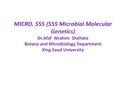 MICRO. 555 (555 Microbial Molecular Genetics) Dr.Afaf Ibrahim Shehata Botany and Microbiology Department King Saud University.