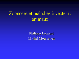 Zoonoses et maladies à vecteurs animaux Philippe Léonard Michel Moutschen Zoonose     « maladie des animaux vertébrés, éventuellement transmissible à l’homme » Ne pas confondre avec les.