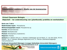 Polysiphonia (roodwier): Stadia van de levenscyclus  Virtual Classroom Biologie: http://www.vcbio.science.ru.nl/virtuallessons/ Objectief: - ter ondersteuning van (plantkunde) praktika en werkstukken Serie van 7 dia’s Nederlandse.