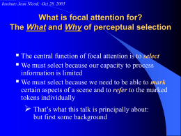 Institute Jean Nicod, Oct 28, 2005  What is focal attention for? The What and Why of perceptual selection   The central function of.