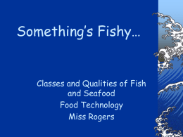 Something’s Fishy…  Classes and Qualities of Fish and Seafood Food Technology Miss Rogers Today’s Objectives: o Identify the classifications of fish and seafood o Identify the quality.