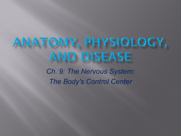 Ch. 9: The Nervous System: The Body's Control Center Central Nervous System (CNS): Brain and spinal cord; controls total nervous system  Peripheral.