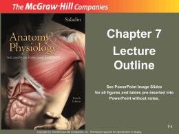 Chapter 7 Lecture Outline See PowerPoint Image Slides for all figures and tables pre-inserted into PowerPoint without notes.  7-1 Copyright (c) The McGraw-Hill Companies, Inc.
