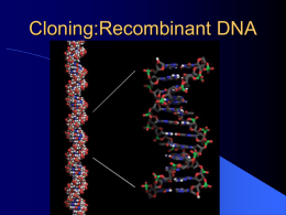 Cloning:Recombinant DNA Multistep Process   . Produce fragments of DNA using enzymes that cut DNA at specific base sequences.  .