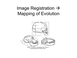 Image Registration  Mapping of Evolution Registration Goals  I2(x,y)=g(I1(f(x,y)) f() – 2D spatial transformation g() – 1D intensity transformation • Assume the correspondences are known •