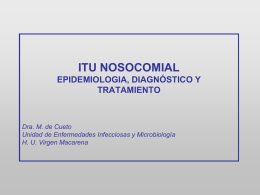 ITU NOSOCOMIAL EPIDEMIOLOGIA, DIAGNÓSTICO Y TRATAMIENTO  Dra. M. de Cueto Unidad de Enfermedades Infecciosas y Microbiología H.