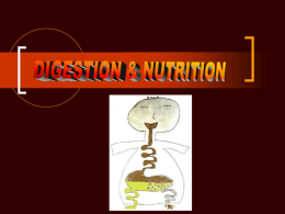 Nutrition   process by which organisms obtain and utilize their food  2 Parts:  1. ingestion- process of taking food into the digestive system so that it.
