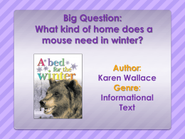 Big Question: What kind of home does a mouse need in winter? Author: Karen Wallace Genre: Informational Text.
