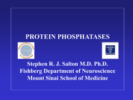 PROTEIN PHOSPHATASES  Stephen R. J. Salton M.D. Ph.D. Fishberg Department of Neuroscience Mount Sinai School of Medicine.