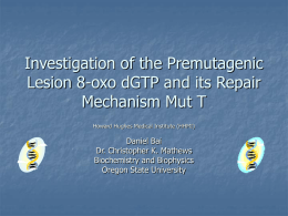 Investigation of the Premutagenic Lesion 8-oxo dGTP and its Repair Mechanism Mut T Howard Hughes Medical Institute (HHMI)  Daniel Bai Dr.