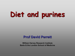 Diet and purines  Prof David Perrett William Harvey Research Institute Barts & the London School of Medicine.