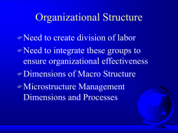 Organizational Structure  Need  to create division of labor  Need to integrate these groups to ensure organizational effectiveness  Dimensions of Macro Structure  Microstructure.