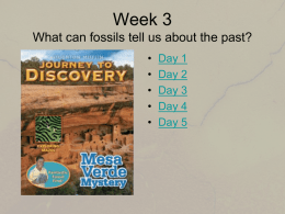 Week 3 What can fossils tell us about the past? • • • • •  Day 1 Day 2 Day 3 Day 4 Day 5
