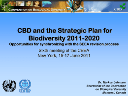 CBD and the Strategic Plan for Biodiversity 2011-2020 Opportunities for synchronizing with the SEEA revision process  Sixth meeting of the CEEA New York, 15-17