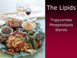 The Lipids Triglycerides Phospholipids Sterols Lipids • Triglycerides (TG) –Fats and oils • Phospholipids  • Sterols Fatty Acids (FA) & TG • glycerol-a sugar alcohol, backbone of a FA! • REM: