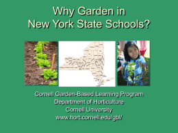 Why Garden in New York State Schools?  Cornell Garden-Based Learning Program Department of Horticulture Cornell University www.hort.cornell.edu/gbl/