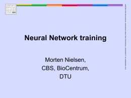 Morten Nielsen, CBS, BioCentrum, DTU  CENTER FOR BIOLOGICAL SEQUENCE ANALYSIS TECHNICAL UNIVERSITY OF DENMARK DTU  Neural Network training.