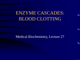 ENZYME CASCADES: BLOOD CLOTTING  Medical Biochemistry, Lecture 27 Lecture 27, Outline • The extrinsic and intrinsic clotting pathways • Specific reactions in the coagulation pathway: