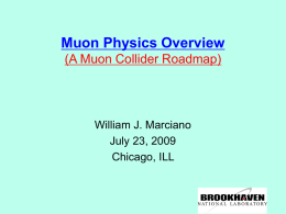 Muon Physics Overview (A Muon Collider Roadmap)  William J. Marciano July 23, 2009 Chicago, ILL.