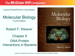 Lecture PowerPoint to accompany  Molecular Biology Fourth Edition  Robert F. Weaver Chapter 9 DNA-Protein Interactions in Bacteria Copyright © The McGraw-Hill Companies, Inc.