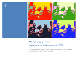 +  MLSA on Vibrio Hopkins Microbiology course 2013 Monica Abrudan, David Fronk, Marius Linkevicius, Lea Madsen, Laura-Carlota Paz & Brian Piasecki.