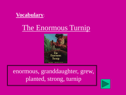 Vocabulary:  The Enormous Turnip  enormous, granddaughter, grew, planted, strong, turnip The Enormous Turnip A.