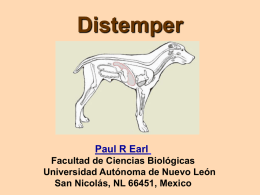 Distemper  Paul R Earl Facultad de Ciencias Biológicas Universidad Autónoma de Nuevo León San Nicolás, NL 66451, Mexico.