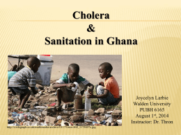 Cholera & Sanitation in Ghana  Joycelyn Larbie Walden University PUBH 6165 August 1st, 2014 Instructor: Dr. Thron http://i.telegraph.co.uk/multimedia/archive/01175/zim-460_1175607c.jpg.