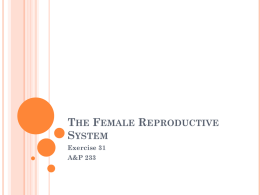 THE FEMALE REPRODUCTIVE SYSTEM Exercise 31 A&P 233 FEMALE REPRODUCTION Unlike males, who are able to produce sperm cells throughout their reproductive lives, females produce a finite number of.