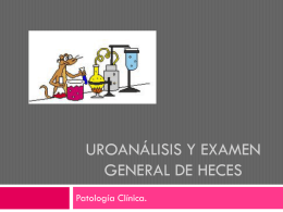 UROANÁLISIS Y EXAMEN GENERAL DE HECES Patología Clínica. Uroanálisis     análisis cualitativos y semicuantitativos realizados en una muestra de orina tomada al azar o en.