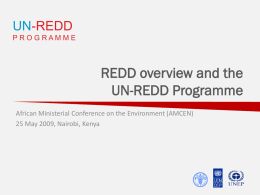 UN-REDD PROGRAMME  REDD overview and the UN-REDD Programme African Ministerial Conference on the Environment (AMCEN) 25 May 2009, Nairobi, Kenya.
