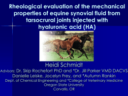 Rheological evaluation of the mechanical properties of equine synovial fluid from tarsocrural joints injected with hyaluronic acid (HA)  Heidi Schmidt  Advisors: Dr.