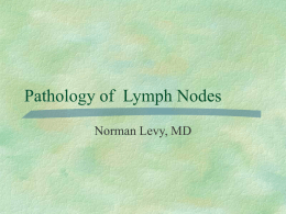 Pathology of Lymph Nodes Norman Levy, MD Big Picture  As with other organs, lymph nodes, and more globally, the immune system, can.