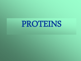 PROTEINS Characteristics of Proteins • • • • •  Contain carbon, hydrogen, oxygen, nitrogen, and sulfur Serve as structural components of animals Serve as control molecules (enzymes) Serve as.