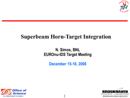 Superbeam Horn-Target Integration N. Simos, BNL EUROnu-IDS Target Meeting December 15-18, 2008  BROOKHAVEN SCIENCE ASSOCIATES.