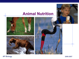 Animal Nutrition  AP Biology  2006-2007 What do animals need to live?  Animals make energy using: food  oxygen   food   Animals build bodies using:   food for raw materials  amino.