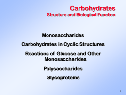 Carbohydrates Structure and Biological Function  Monosaccharides Carbohydrates in Cyclic Structures  Reactions of Glucose and Other Monosaccharides Polysaccharides Glycoproteins.